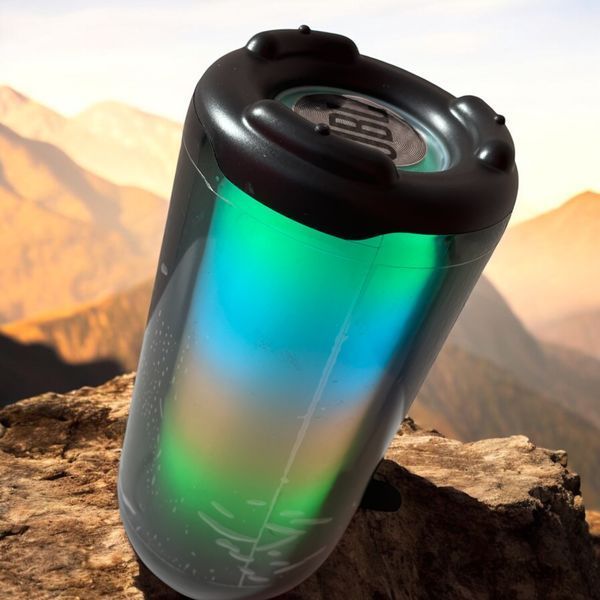Портативная Bluetooth колонка Pulse 5 BT/TF/FM/AUX/USB с RGB светомузыкой и FM-радио 1110-С5 фото