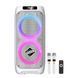 Автономна акустична караоке система колонка TMG LT-2233 (2MIC+USB+FM) 11211122-2233 фото 1