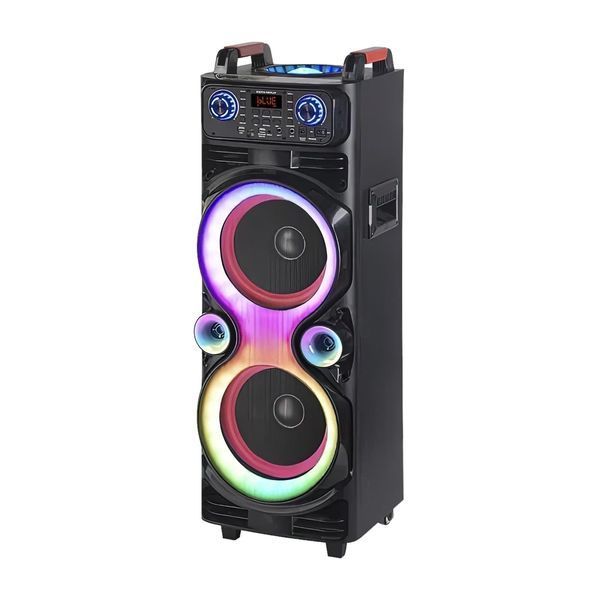 Портативна колонка велика на акумуляторі з 2 радіомікрофонами з USB/FM/Bluetooth NDR 1100 1000-1100 фото