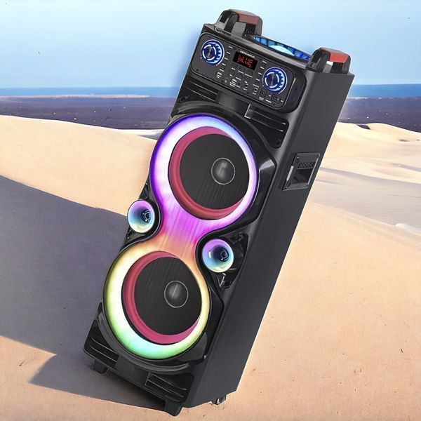 Портативна колонка велика на акумуляторі з 2 радіомікрофонами з USB/FM/Bluetooth NDR 1100 1000-1100 фото