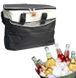Термосумка Сумка-холодильник DT-4245 Cooling Bag 65 фото 3