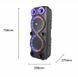 Портативная акустическая система караоке колонка Bluetooth ZQS8238 с 2 микрофонами и пультом, RGB-подсветкой 2х8 2228-8238 фото 4
