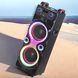 Портативна колонка велика на акумуляторі з 2 радіомікрофонами з USB/FM/Bluetooth NDR 1100 1000-1100 фото 2