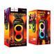 Портативная акустическая система караоке колонка&nbsp;HOCO Sound outdoor RGB BT speaker with single microphone DS73 | BT5.0, FM/USB/AUX/TF, 40W 011173-73 фото 7