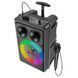 Портативна Bluetooth колонка караоке BOROFONE Dancing BP9 з мікрофоном 100-BP9 фото 2
