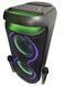 Акустична переносна караоке колонка ZXX-5570 40 Вт 2x6" USB/TF/FM/BT/TWS/2MIC/ДК&nbsp; 111270-5570 фото 4