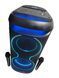 Акустична переносна караоке колонка ZXX-5570 40 Вт 2x6" USB/TF/FM/BT/TWS/2MIC/ДК&nbsp; 111270-5570 фото 1