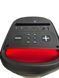 Акустична переносна караоке колонка ZXX-5570 40 Вт 2x6" USB/TF/FM/BT/TWS/2MIC/ДК&nbsp; 111270-5570 фото 2