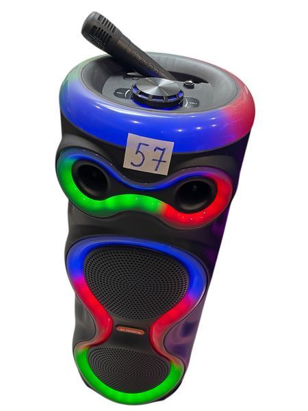 Портативная беспроводная &nbsp;караоке Bluetooth колонка MS-2057BT-W с микрофоном FM-радио с RGB подсветкой 1121-2057 фото