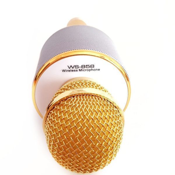 Беспроводной микрофон караоке bluetooth.FM/ WS 858 858 фото