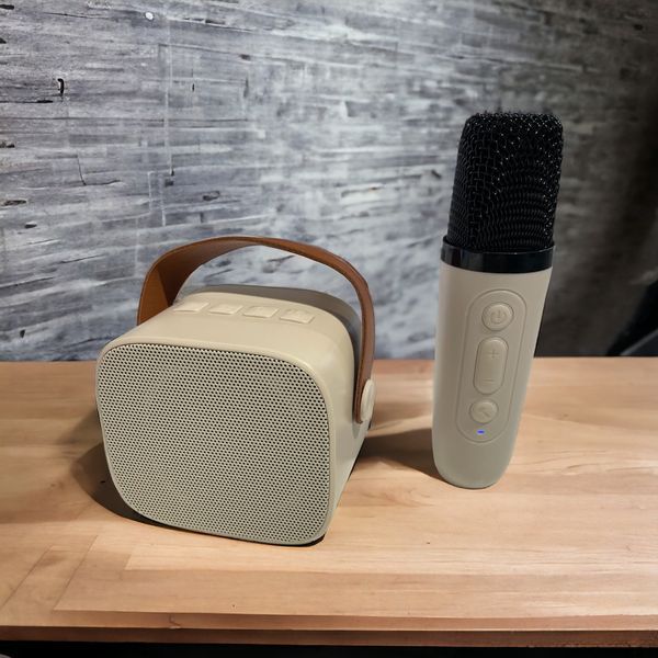 Беспроводная портативная bluetooth колонка с караоке + беспроводной микрофон 100-К1 фото