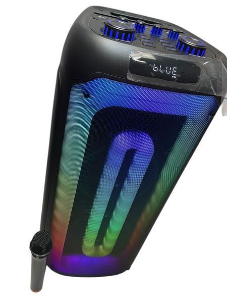 Мощная акустическая переносная колонка ERA EAR E-882 с LED подсветкой 118811-882 фото