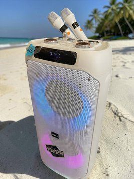 Акустическая переносная караоке колонка Bluetooth колонка LT-2231 с двумя радио микрофонами 2*8"&nbsp; 1113-2231 фото