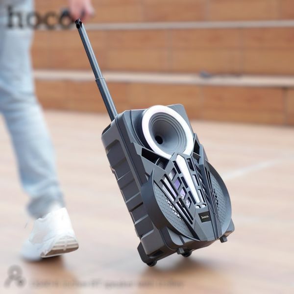 Колонка бездротова портативна з мікрофоном Bluetooth HOCO DS40 |TWS, FM/USB/TF/AUX|  111-ds40 фото