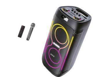 Акустична переносна караоке колонка ZXX-5509 120 Вт 2 динаміки 6,5 дюйма TWS FM USB TF Bluetooth LED 111155-5509 фото
