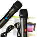 Беспроводная караоке колонка с 2-мя микрофонами HOPESTAR Party 500 |100W, 12500mAh| 11110-500 фото 5