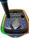 Колонка акумуляторна ROVOLT D-2806 з радіомікрофоном (USB/BT/FM/TWS) 1110-2806 фото 5