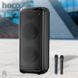 Акустична система караоке колонка HOCO &nbsp;DS53 |BT5.0, TWS, TF/USB/AUX, 40Wx2 (120W Max), 3H, 2mic, remorte| 11133-053 фото 3