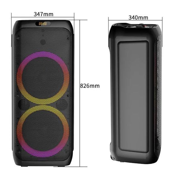 Акустична система караоке колонка 2х10" з RGB підсвічуванням, двома мікрофонами та пультом ДУ ZQS10209 11119-10209 фото